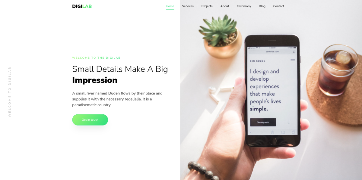 ვებ დეველოპერი