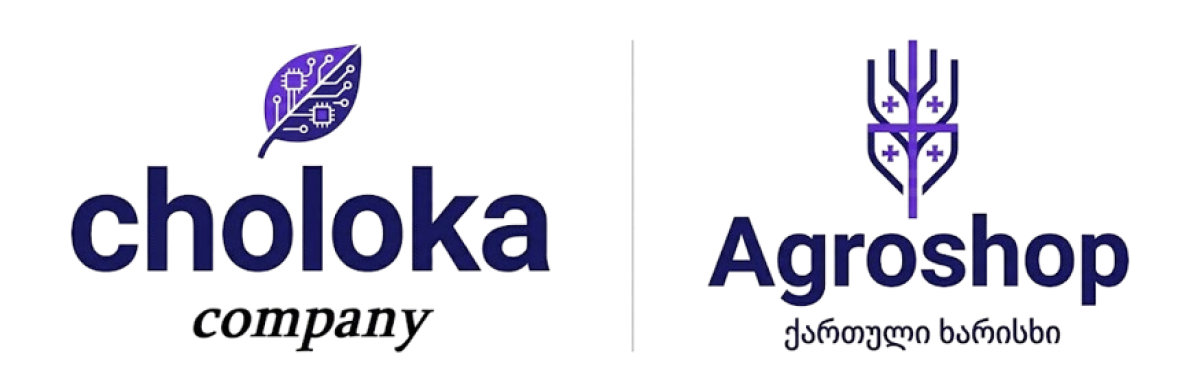 საიტების შექმნა