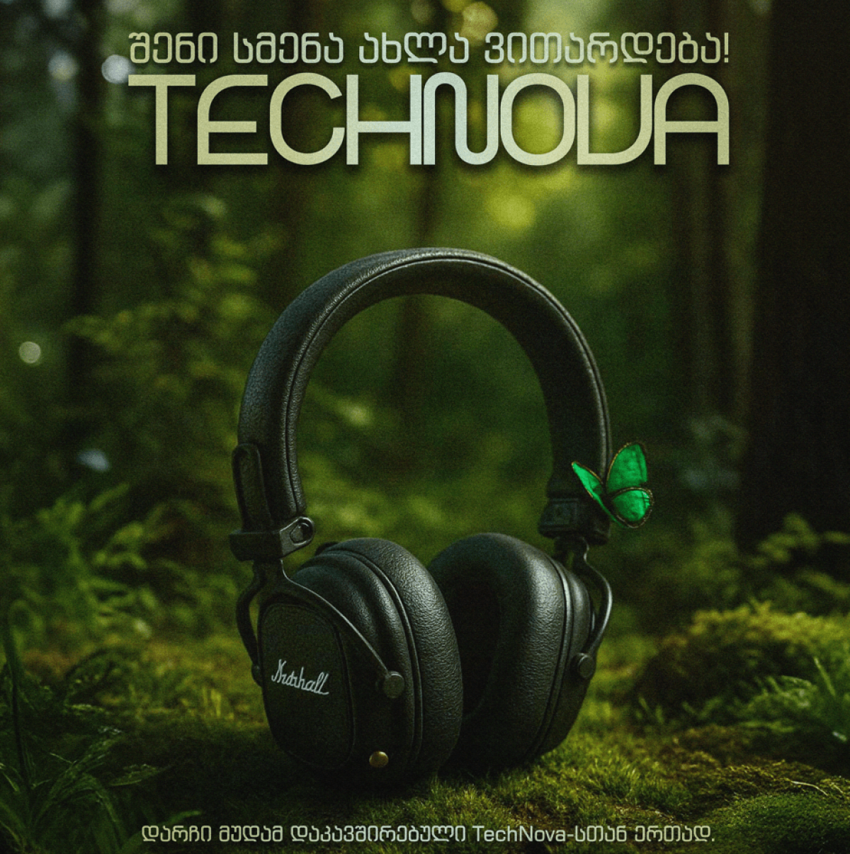 გრაფიკული დიზაინერის სრული მომსახურება