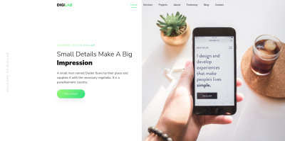 ვებ დეველოპერი