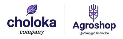 საიტების შექმნა