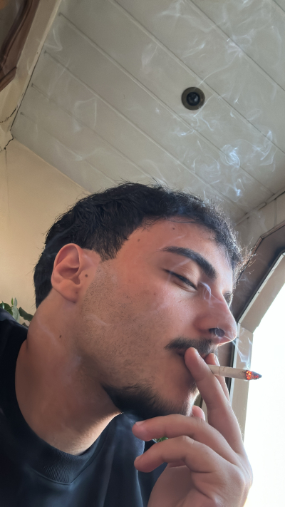 ვებსაიტების დამზადება